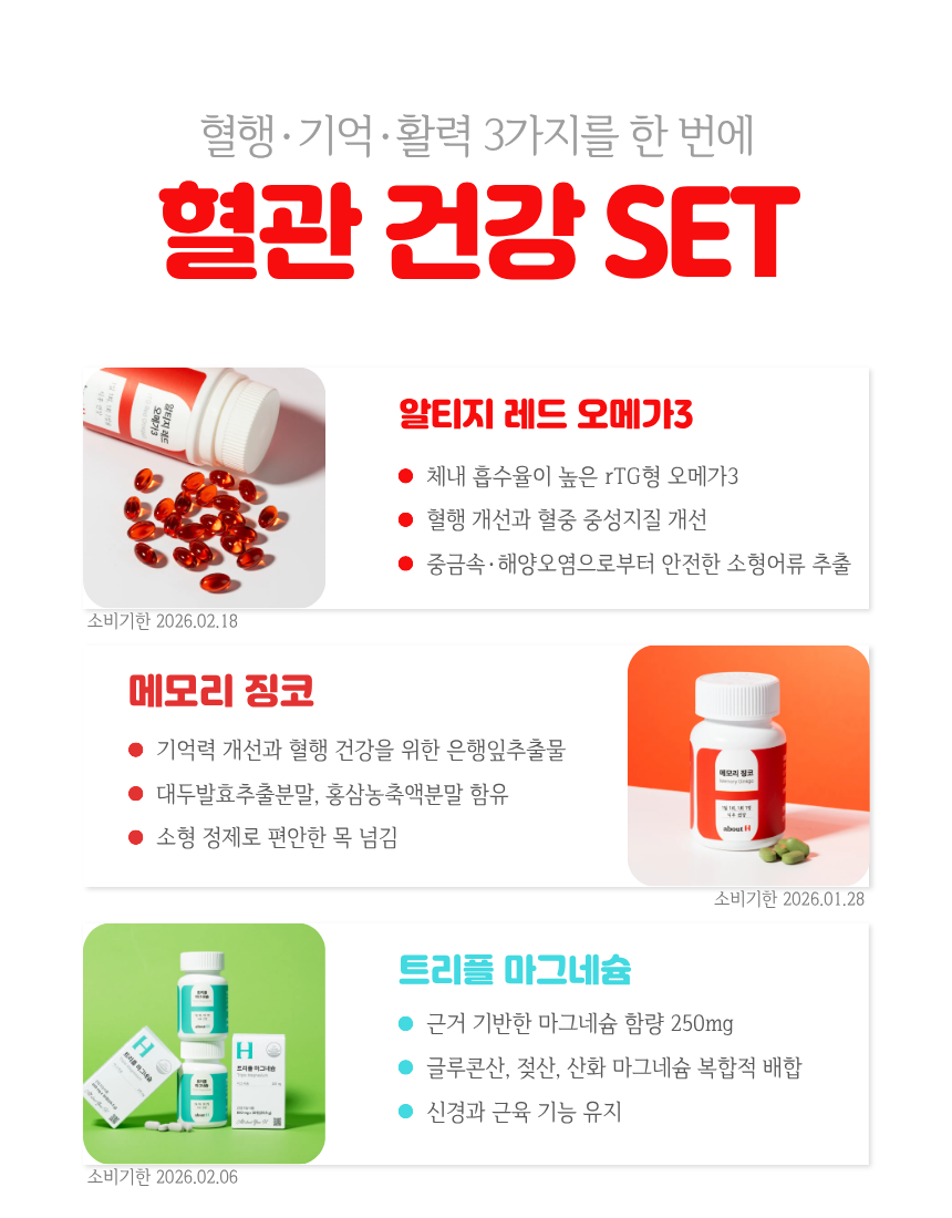 2509 혈관.png